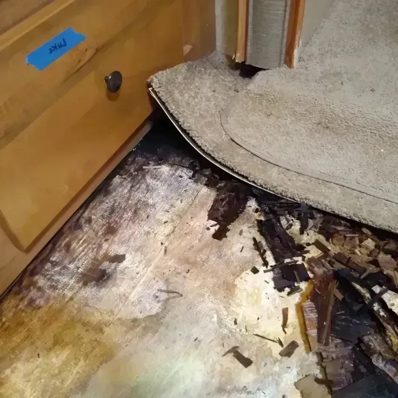 Wood Floor Water Damage in Yakima, WA